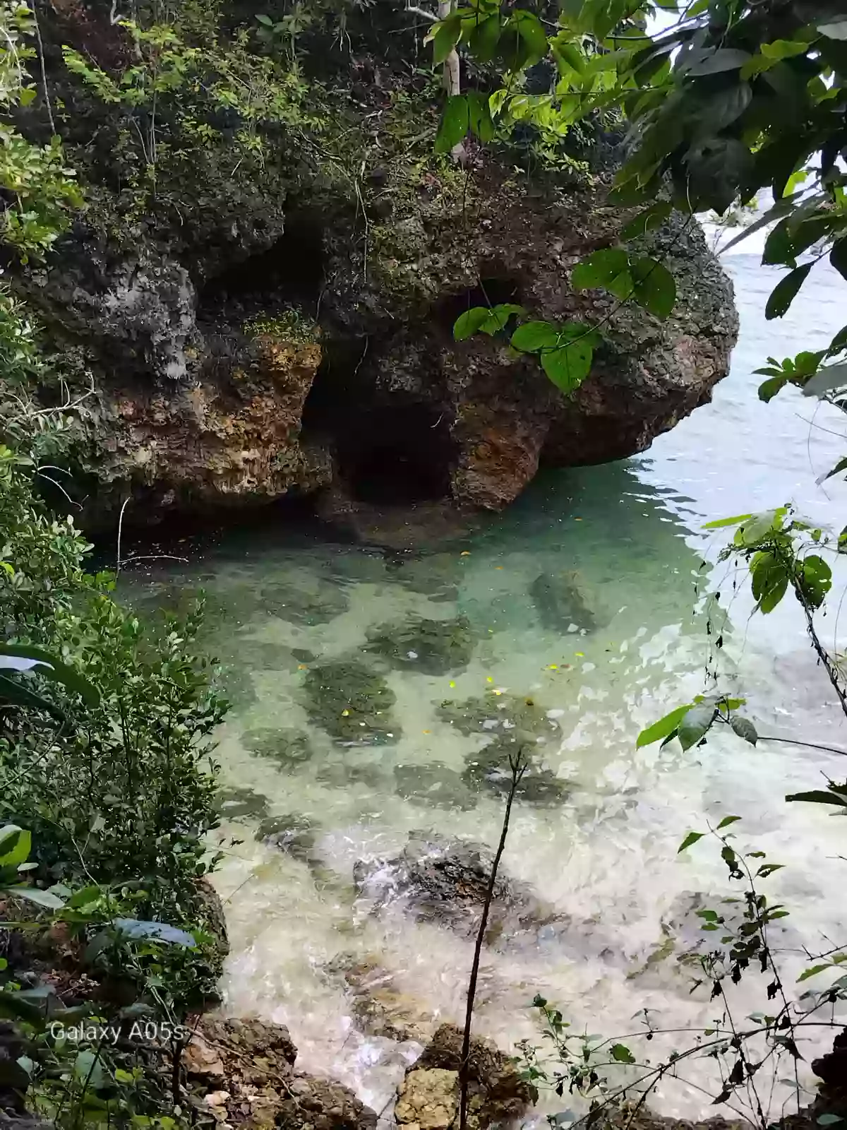 Beach Front Property For Sale (Sipalay) 