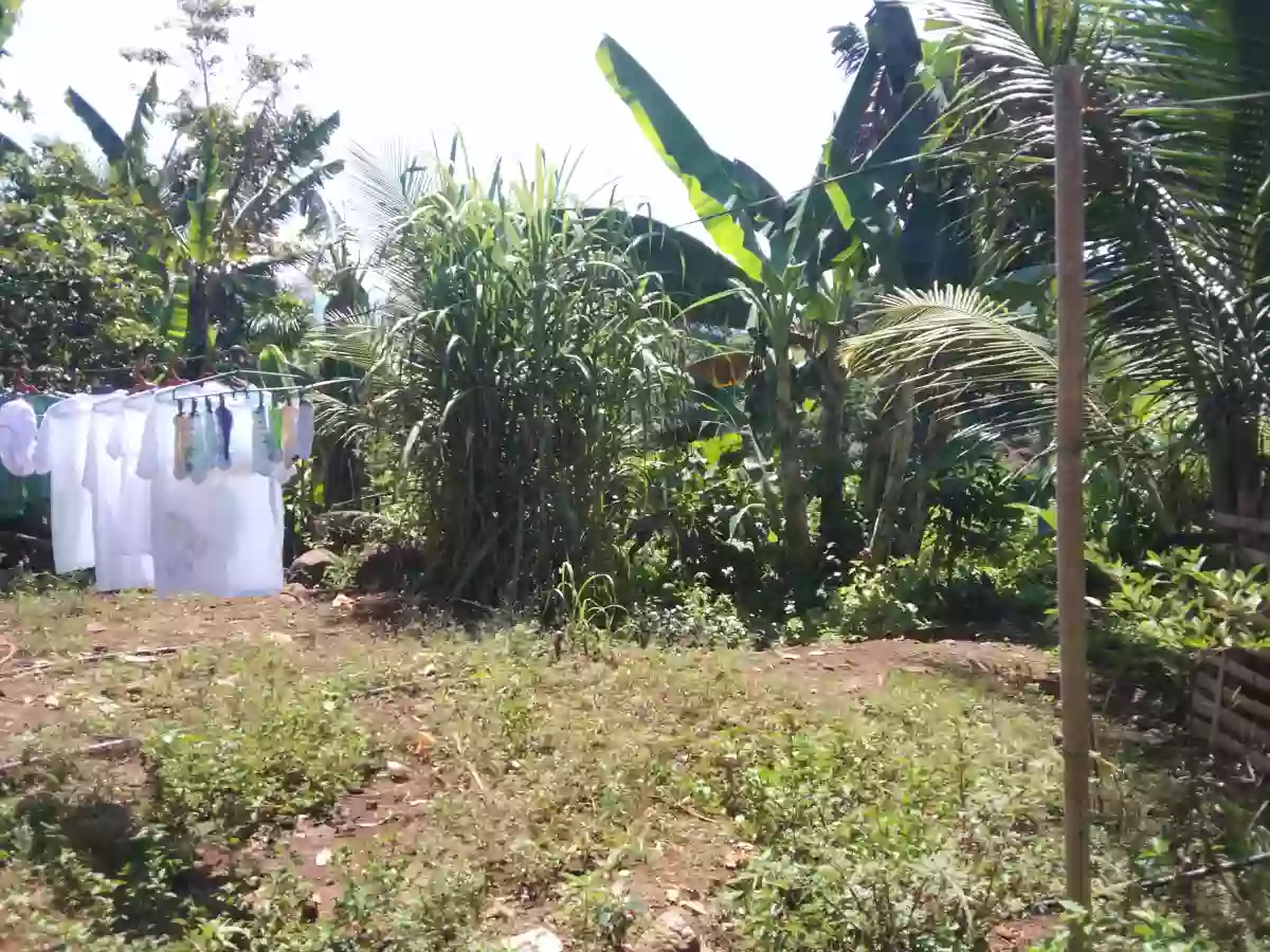 Lots Only — Agricultural Lot in Manolo Fortich, Bukidnon, Philippines — Photo 2
