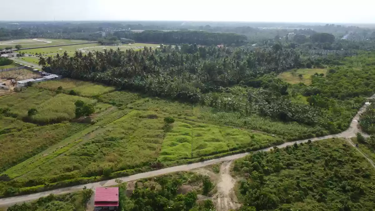 Prime Development Opportunity: 3 Hectares of Land for Sale in Tagum City, Davao Del Norte — Industrial Lot in Davao del Norte, Philippines — Photo 5