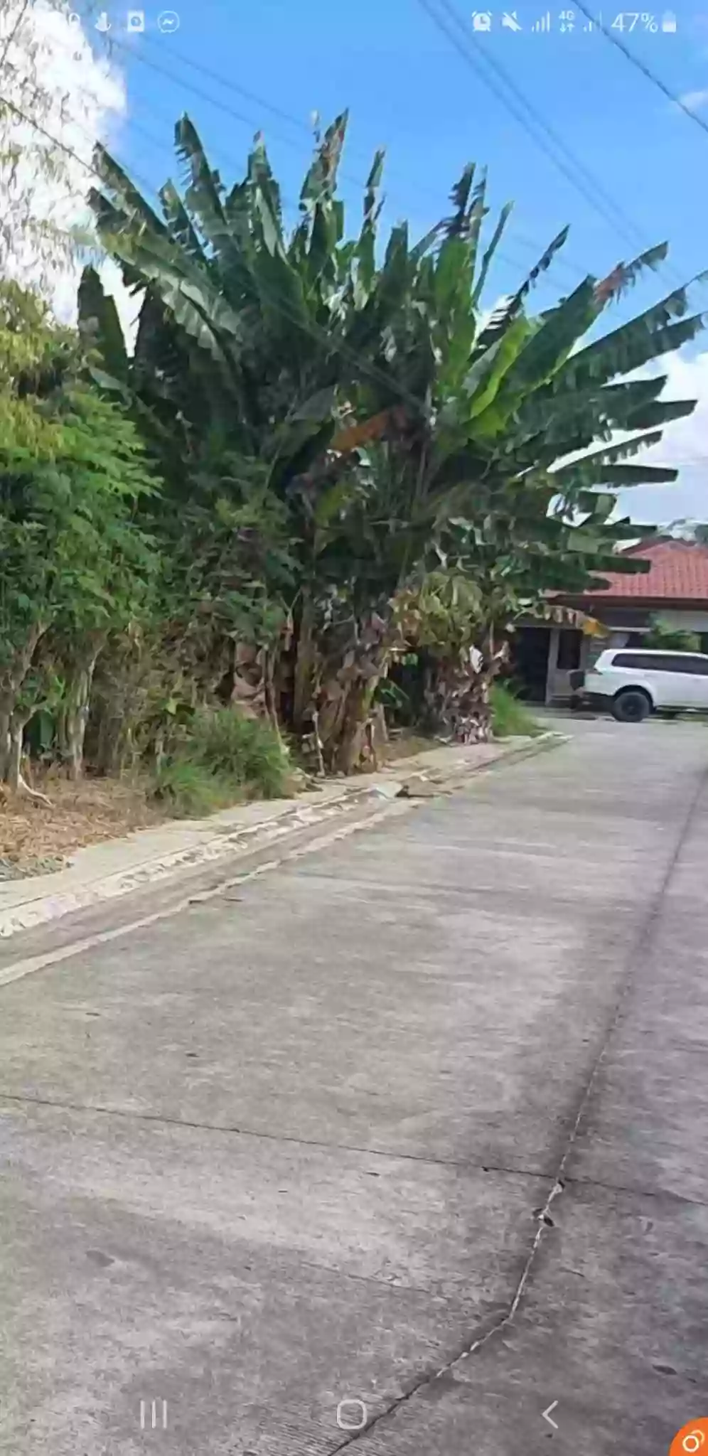 Prime Lot for sale in a High-End Subdivision — Residential Lot in Tungkop Road, Minglanilla, Cebu — Photo 2