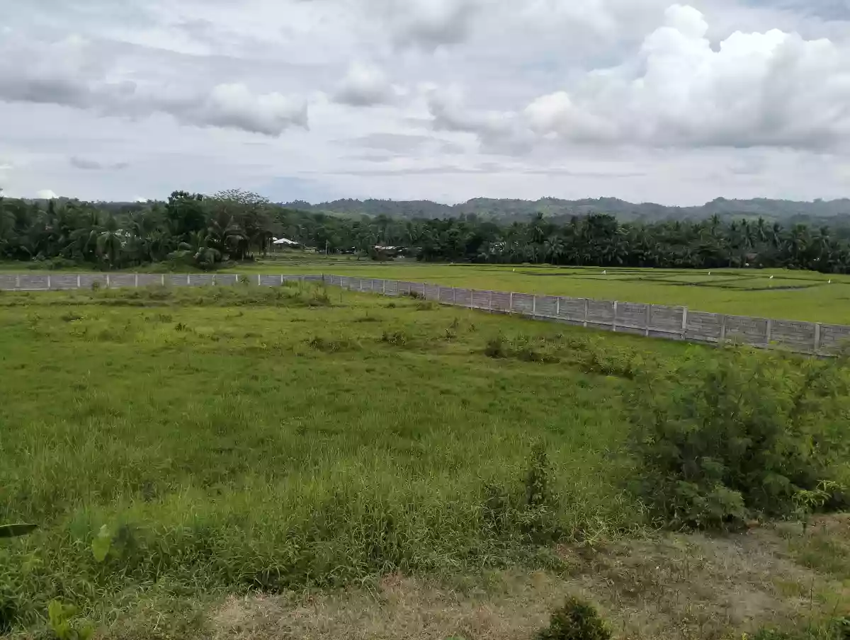 1 hectare Land for rent