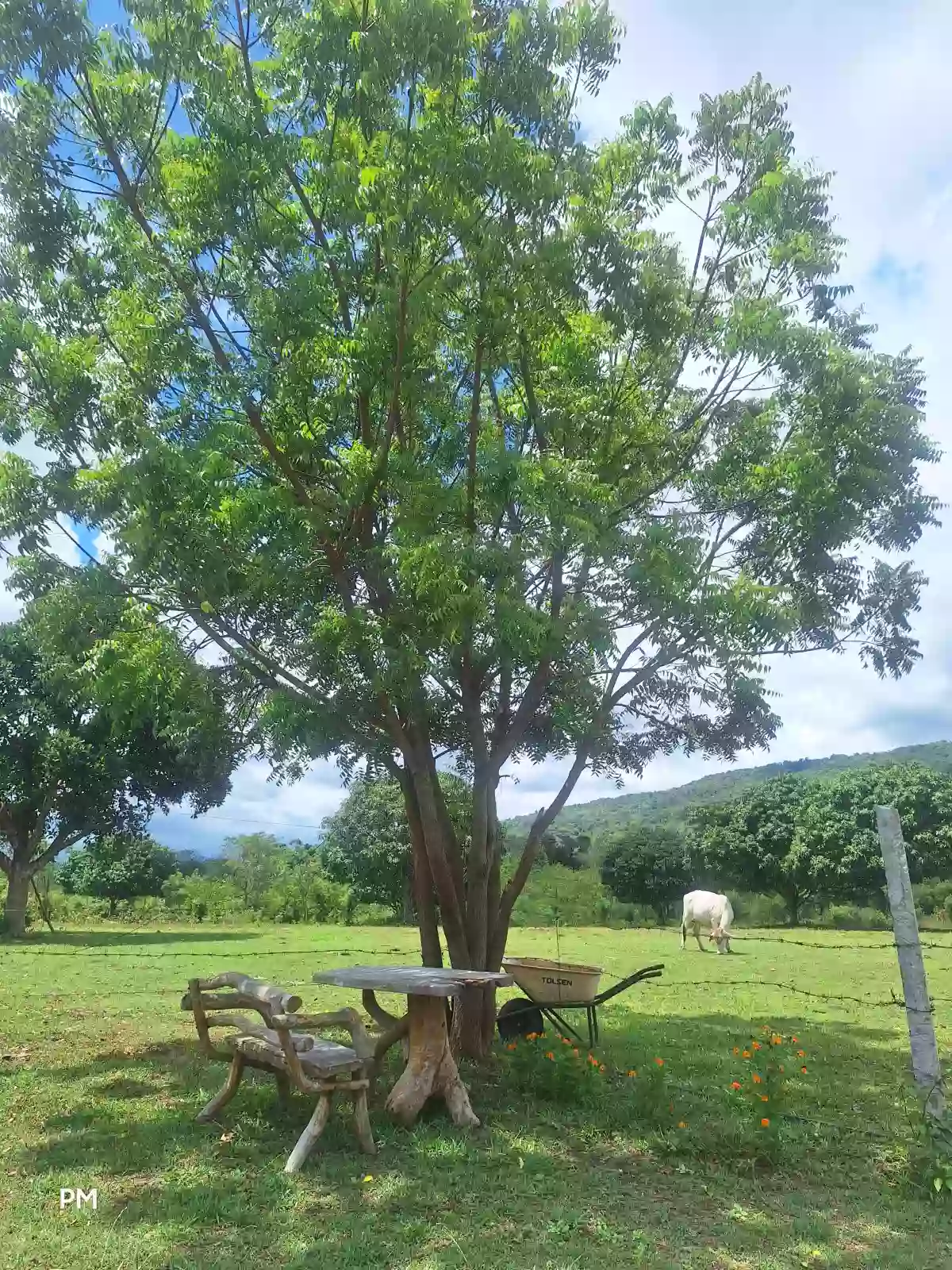 4.3Has at Genwral Santos City — Agricultural Lot in South Cotabato, Philippines — Photo 5