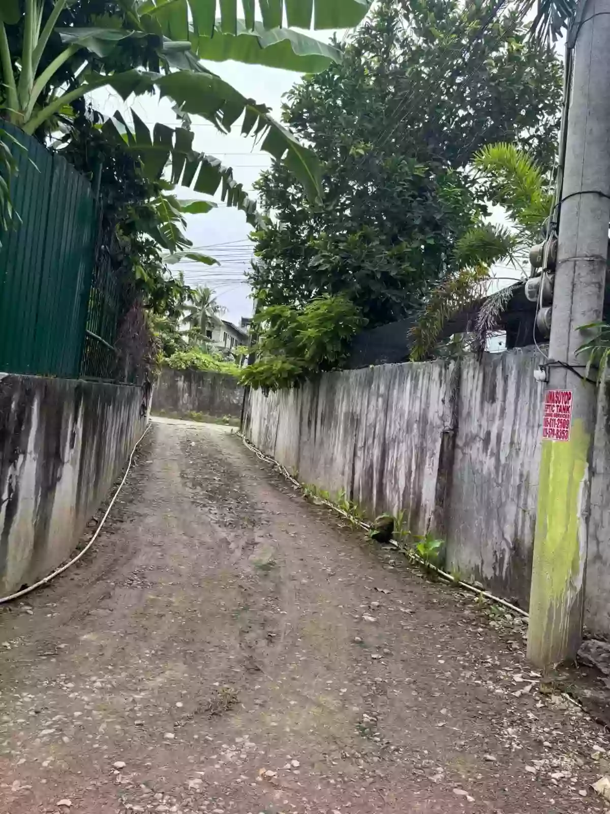 FOR SALE – Income-Generating Apartment + 3-Storey House — Apartment in Minglanilla, Cebu, Philippines — Photo 3