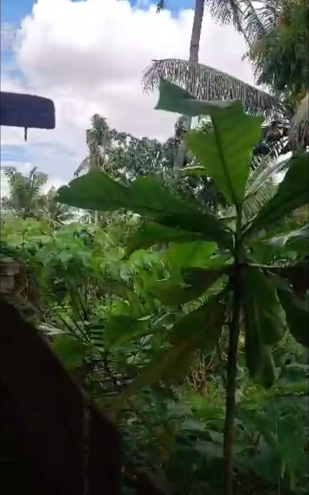 Residential or Commercial Lot — Residential Lot in Liloan, Cebu, Philippines — Photo 2