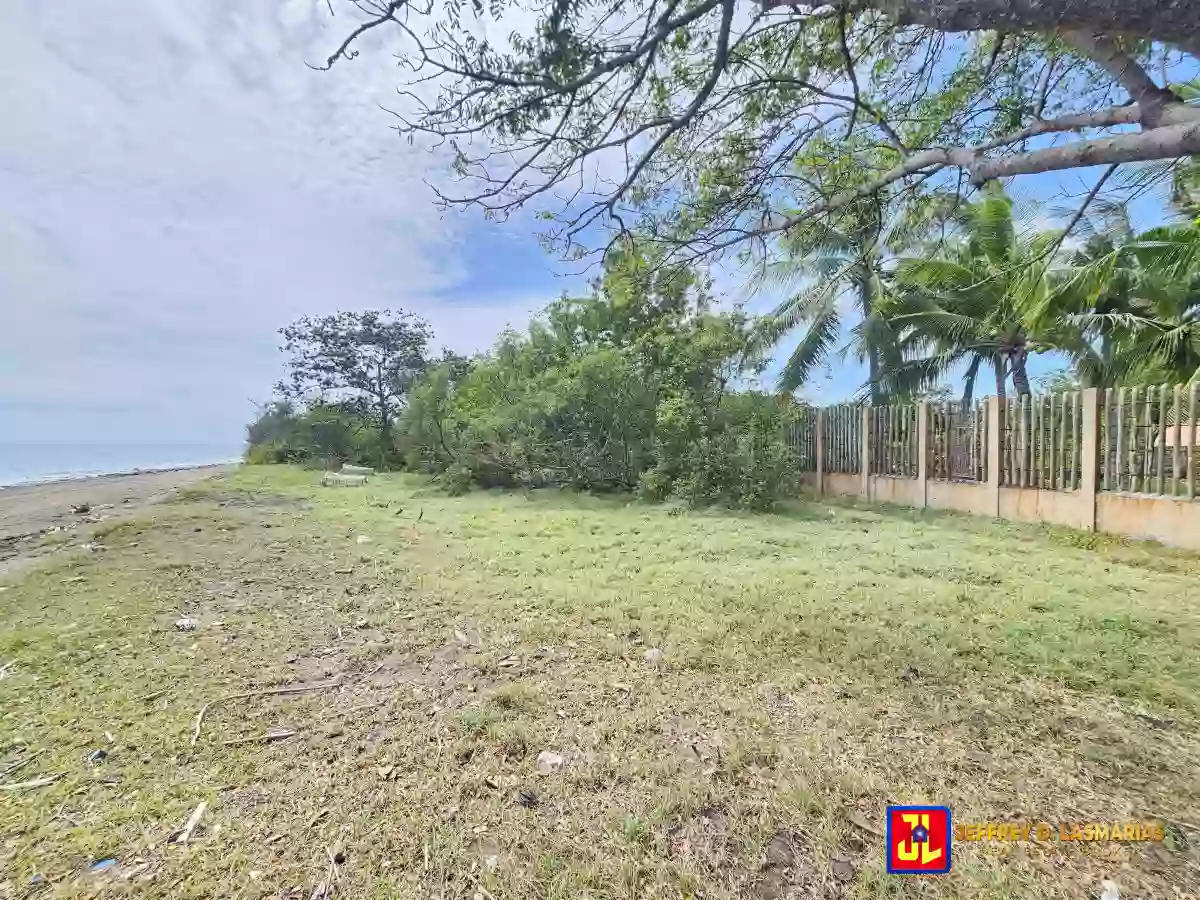 Rush Sale 40,419sqm Beach Lot in Bulak, Dauin [available] — Beach Lot in Dauin, Negros Oriental, Philippines — Photo 3