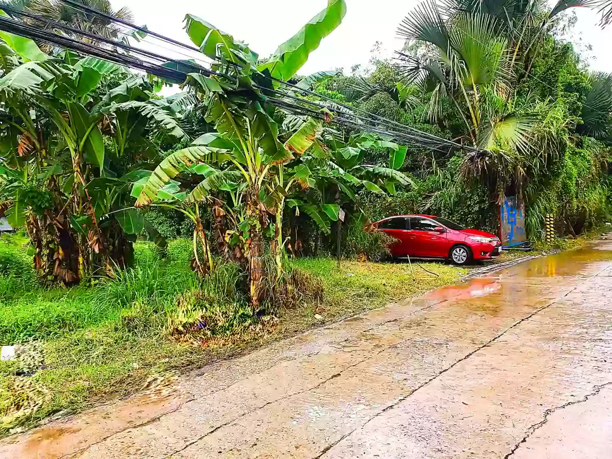 Corner Lot For Sale in Liloan, Cebu! — Residential Lot in Liloan, Cebu, Philippines — Photo 2