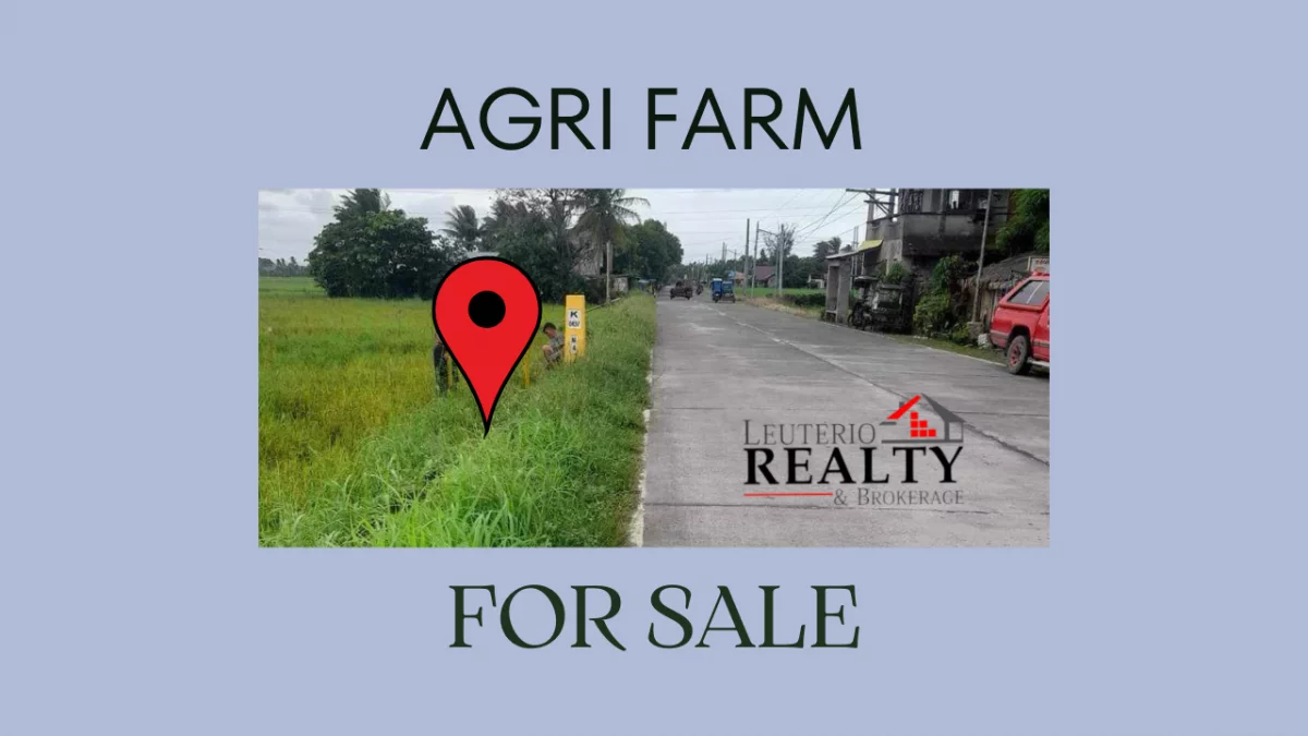 Agri Farm for Sale in Minalabac Camarines Sur — Agricultural Lot in Camarines Sur, Philippines — Photo 3