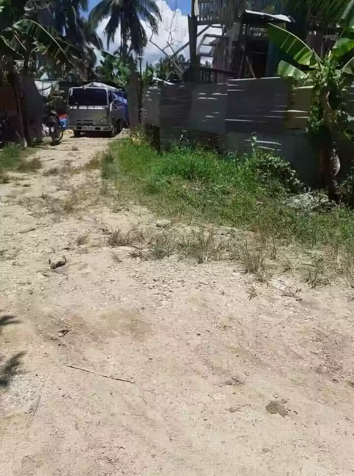FARM LOT FOR SALE — Calidngan — Agricultural Lot in Carcar, Cebu, Philippines — Photo 6