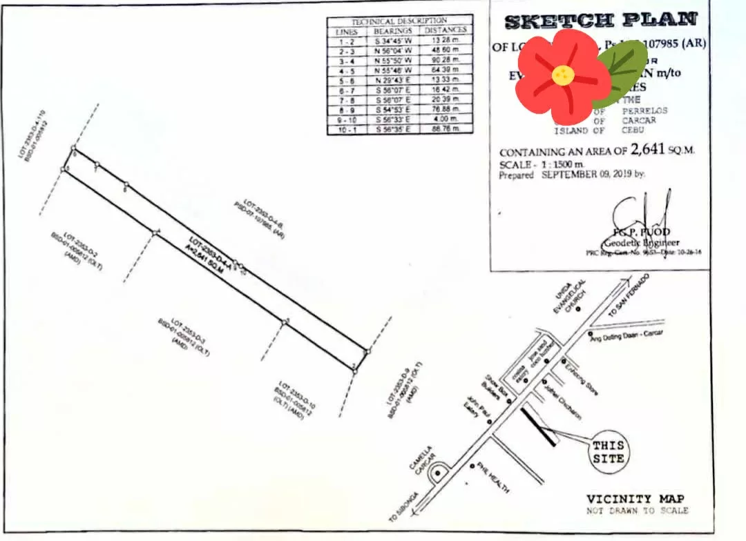 Commercial property for sale in Carcar City — Commercial Lot in Cebu, Philippines — Photo 5