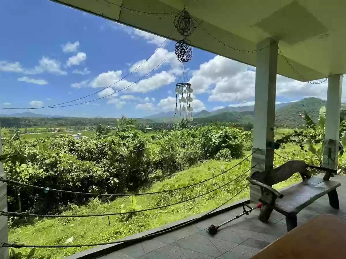 Bungalow House on a 1.5 Hectare Lot for Sale — House and Lot in Surigao, Surigao del Norte, Philippines — Photo 7