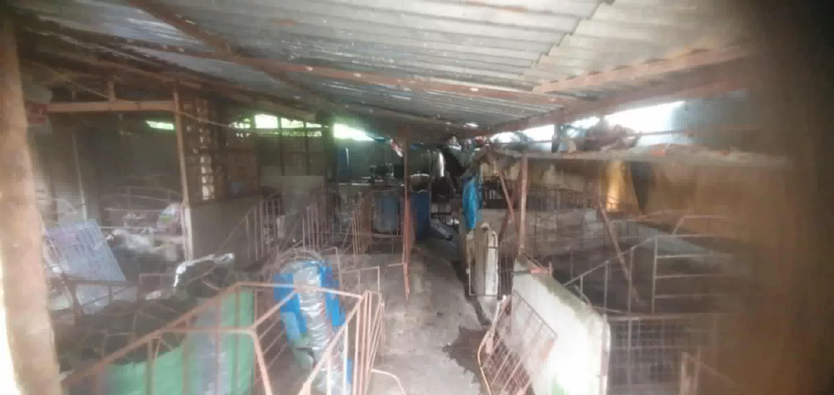 Lot for Sale in Tuburan, Cebu — Residential Lot in Tuburan, Cebu, Philippines — Photo 4