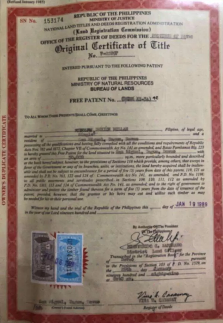 FOR SALE - PRIME 23.6 HECTARES. RARE OPPORTUNITY IN TAGUM CITY