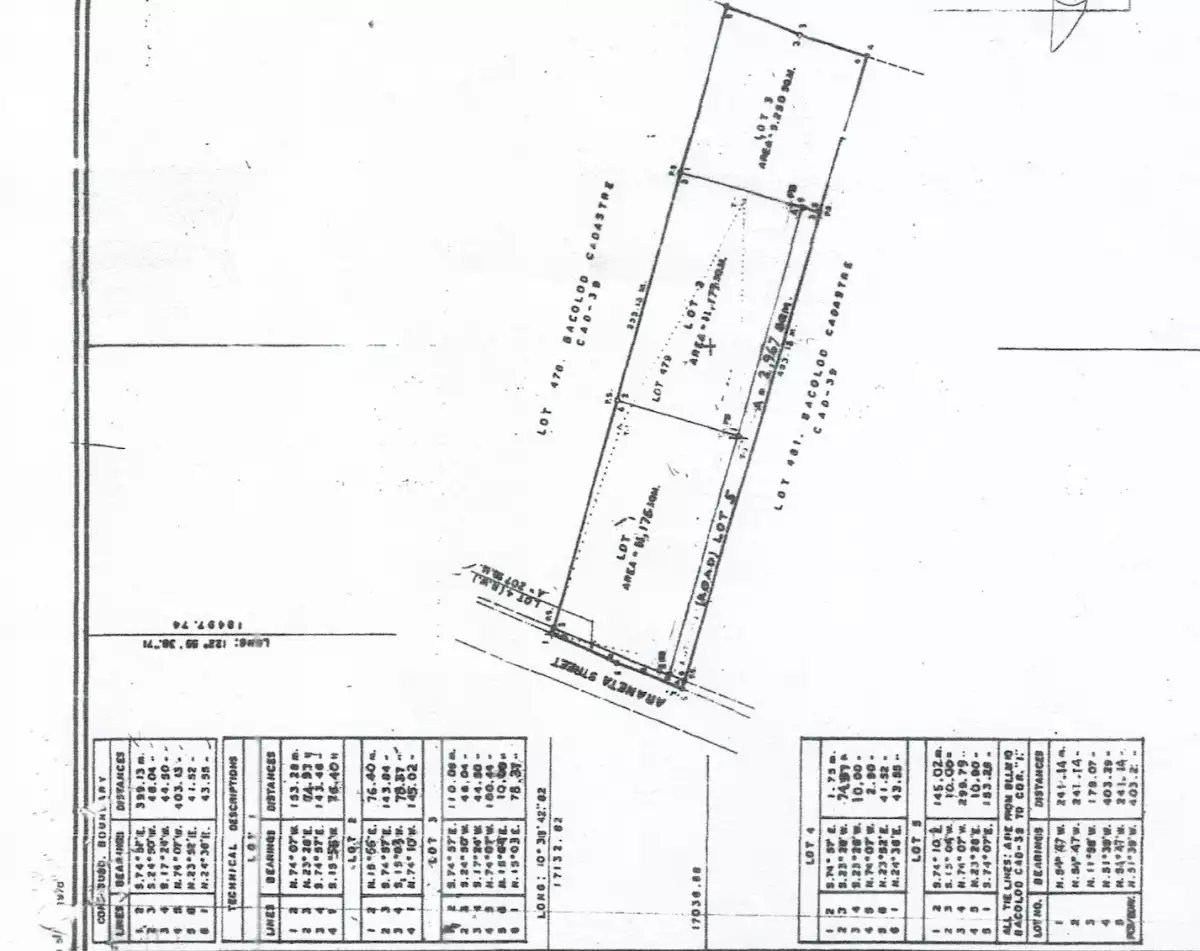 3.4 Hectares Commercial lot along Araneta St. — Commercial Lot in Inc., Bacolod, Negros Occidental — Photo 5