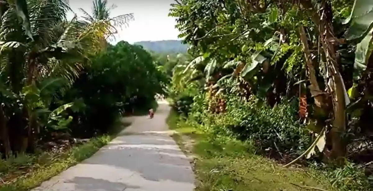 RESIDENTIAL LOT FOR SALE — Residential Lot in Iligan City, Lanao del Norte, 9200 — Photo 2