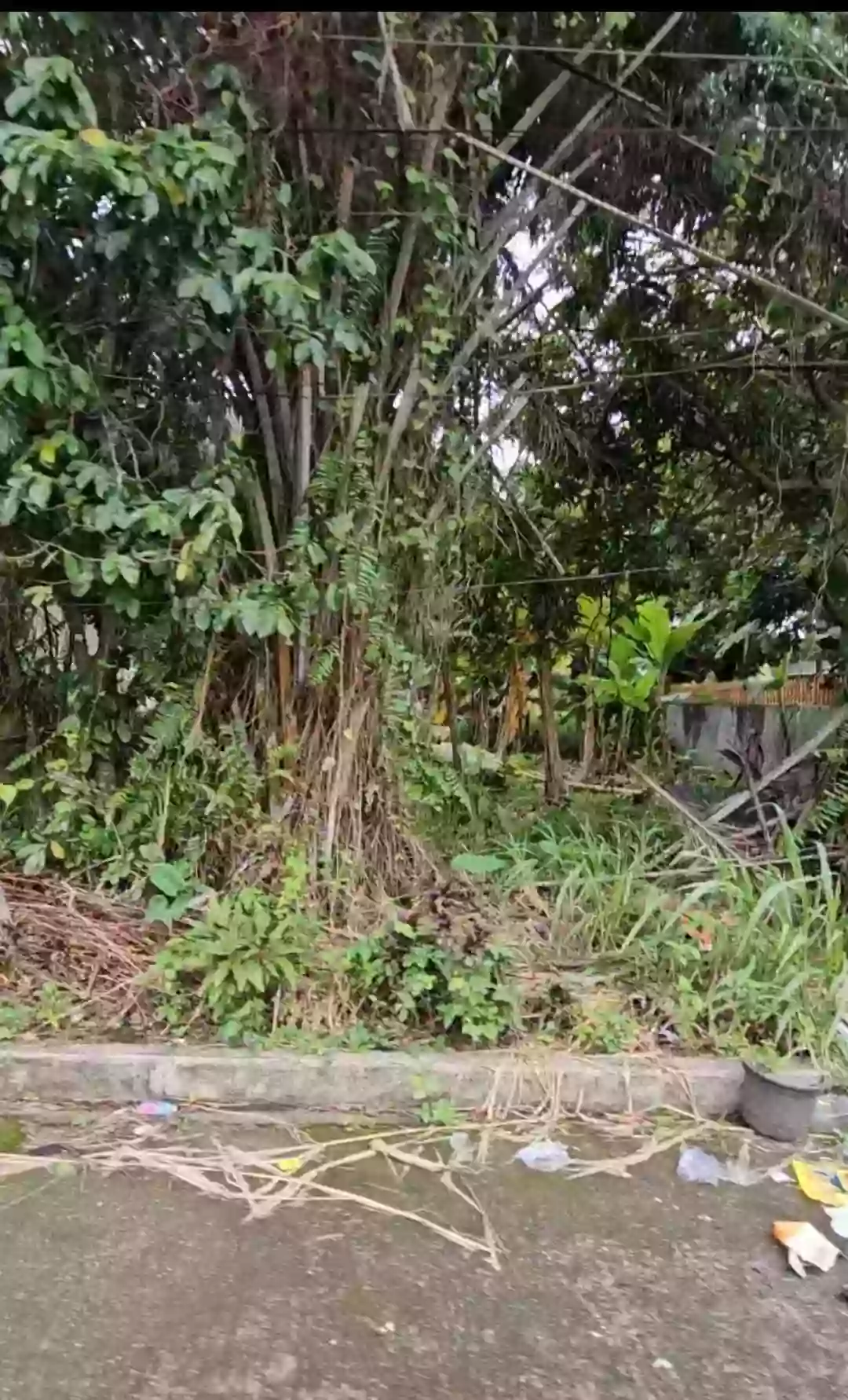 SACRIFICE RESIDENTIAL LOT FOR SALE AT CARMELA VILLAGE EXECUTIVE! — Residential Lot in San Esteban Street, Talisay City, Negros Occidental — Photo 2
