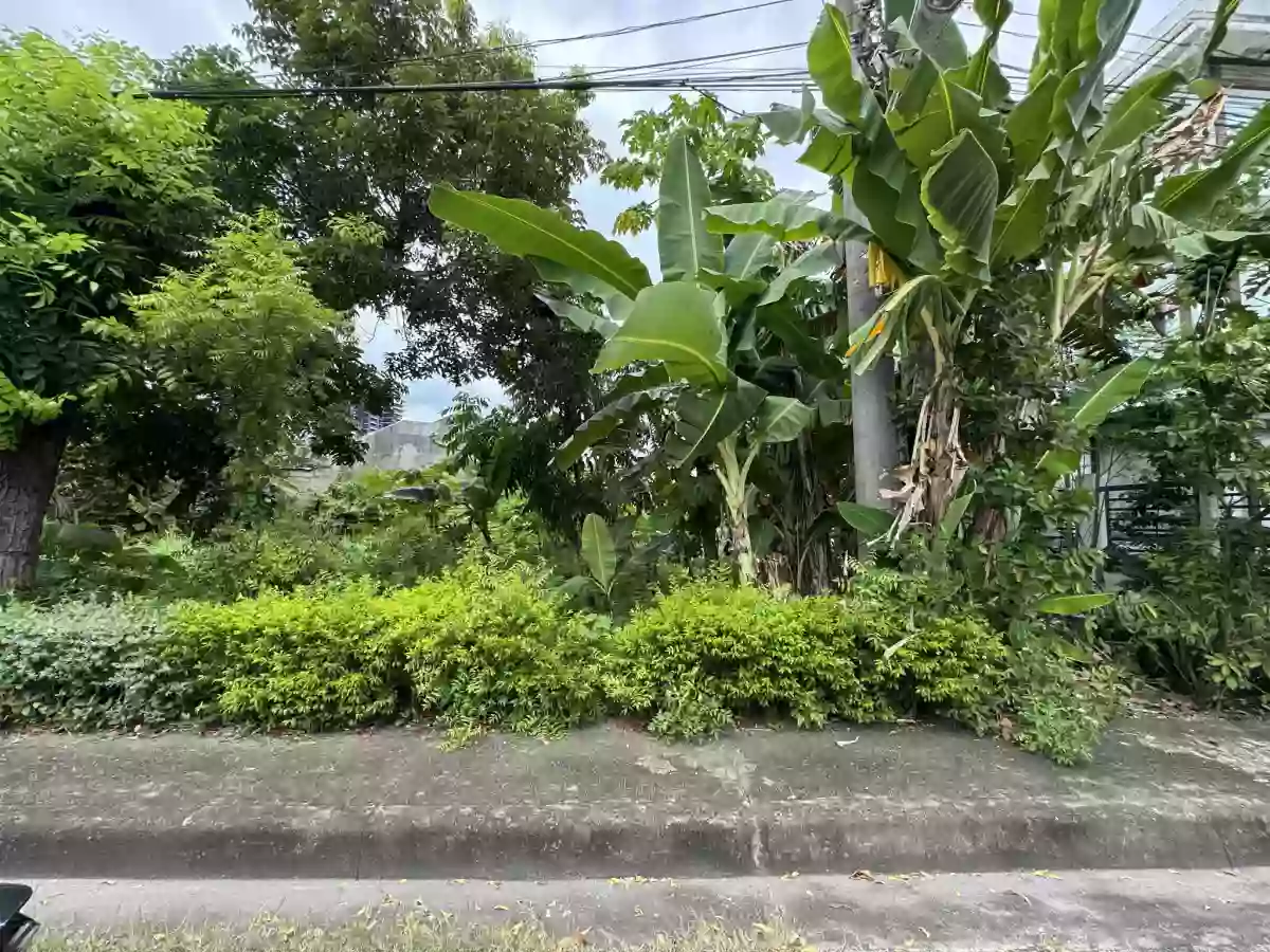 300 sqm LOT FOR SALE at Vistamar — Residential Lot in Lapu-lapu City, Cebu, Philippines — Photo 7