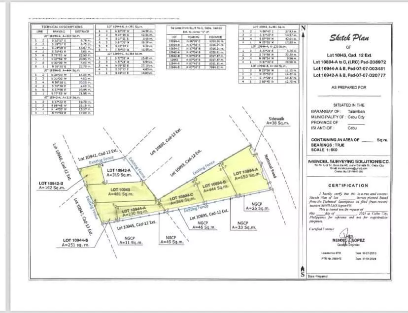 Commercial Lot For Sale — Commercial Lot in Talamban Road, Cebu City, Cebu — Photo 2