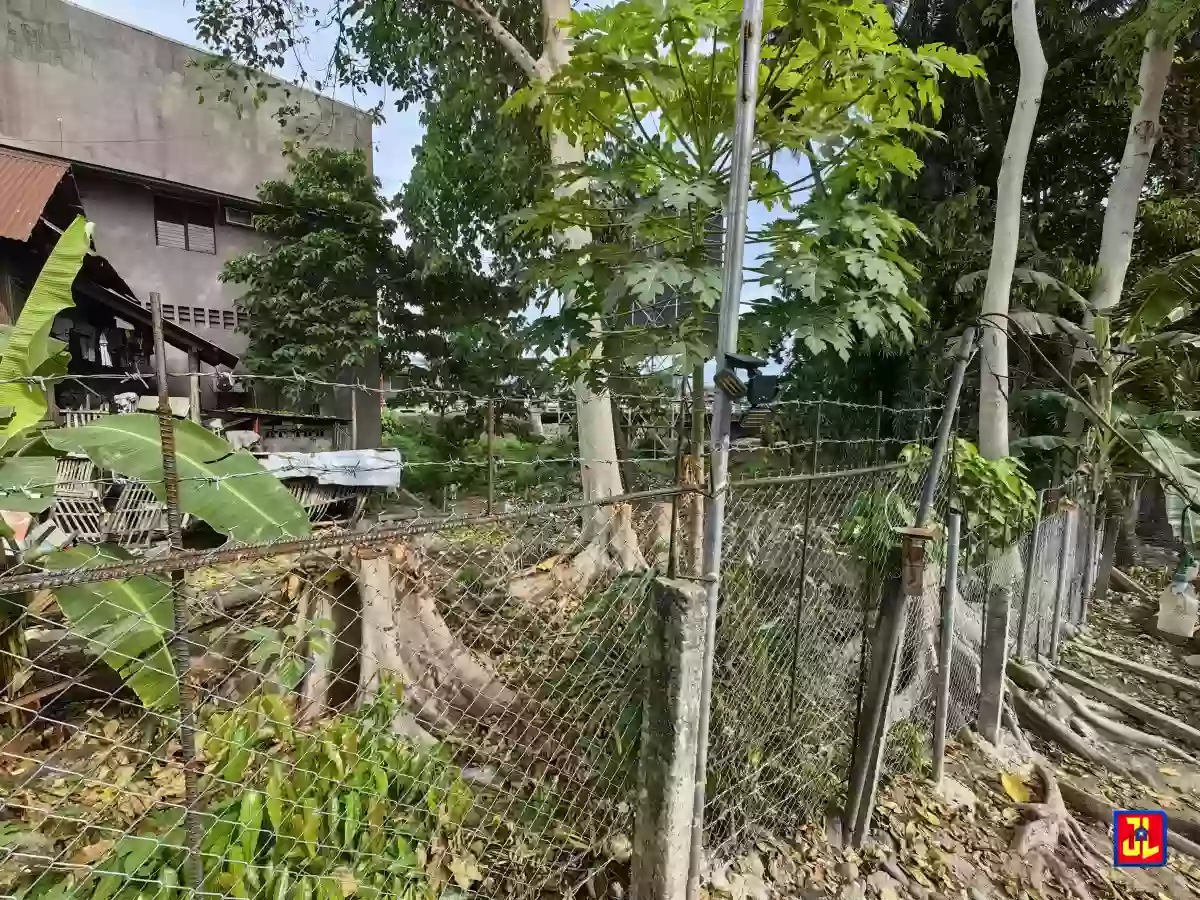 Rush Sale Commercial Lot in Lukewright, Dumaguete City [available] — Commercial Lot in Negros Oriental, Philippines — Photo 4