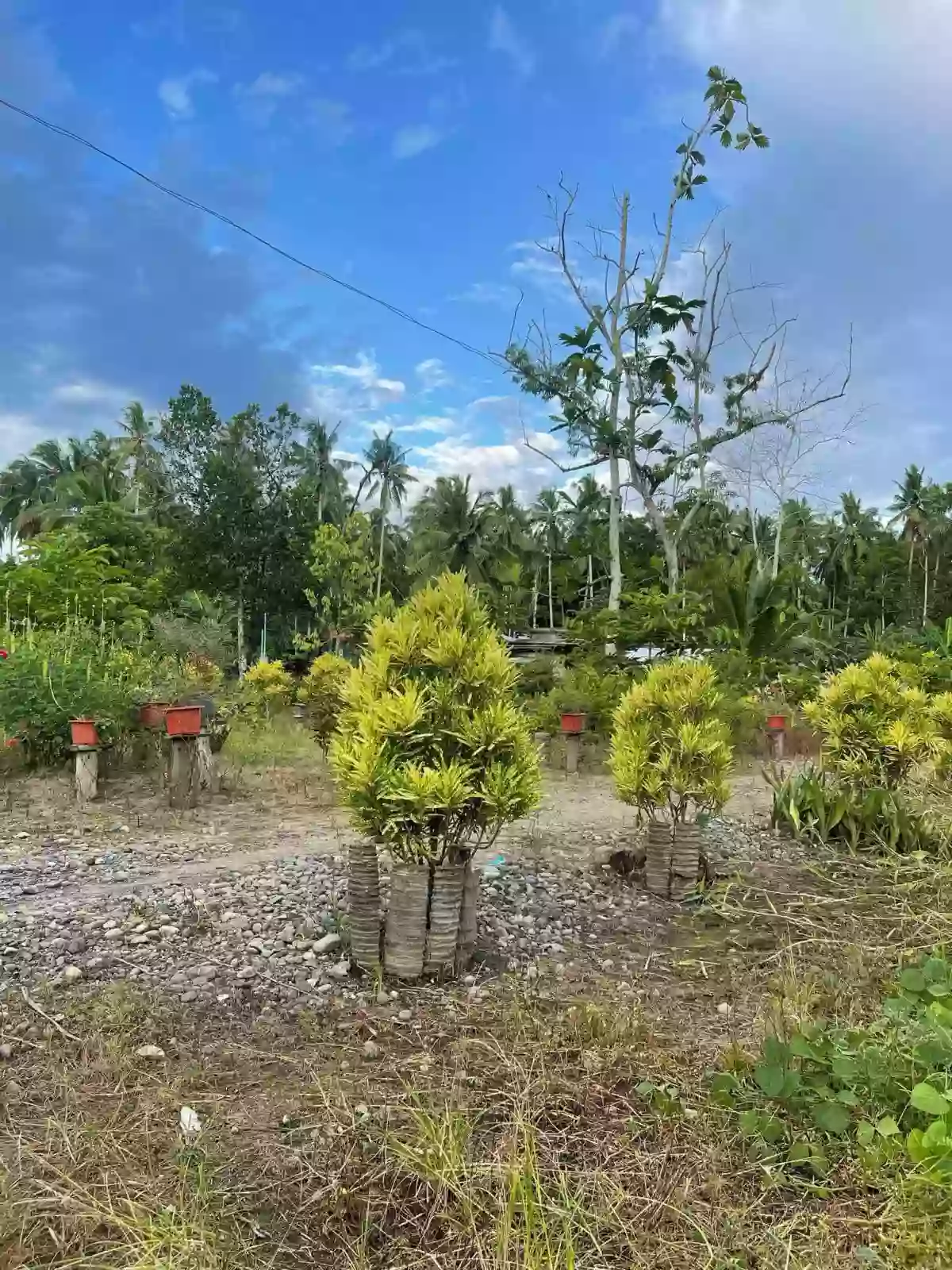 LOT FOR SALE AT TAGUM CITY — Residential Lot in Tagum, Davao del Norte, Philippines — Photo 2