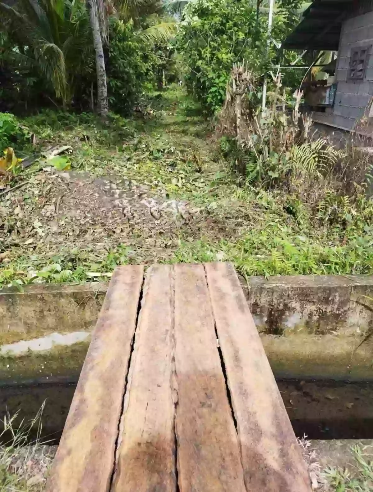 LOT FOR SALE - TAGUM CITY — Agricultural Lot in Tagum, Davao del Norte, Philippines — Photo 3