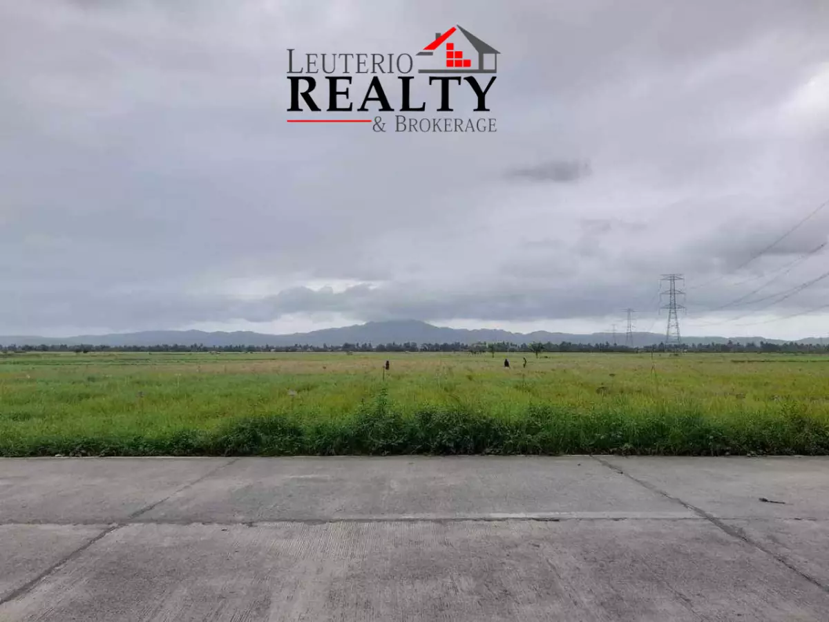 Agri Farm for Sale in Minalabac Camarines Sur — Agricultural Lot in Camarines Sur, Philippines — Photo 2