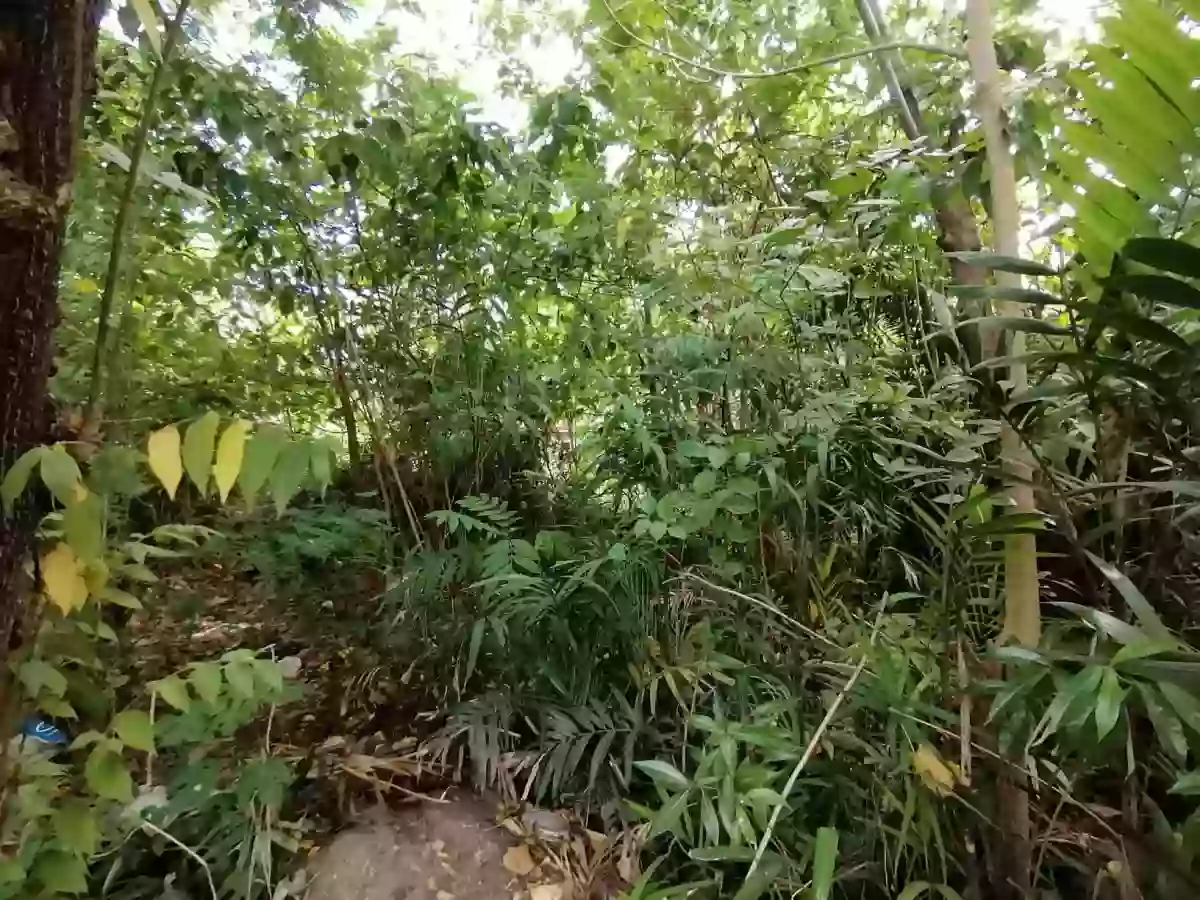 629sqm Residential Lot in Matina, Davao City — Residential Lot in Talomo, Davao City, Davao del Sur — Photo 2