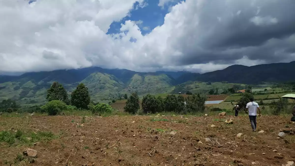 1.6 hectares Farm Lot for Sale in Basak, Lantapan, Bukidnon