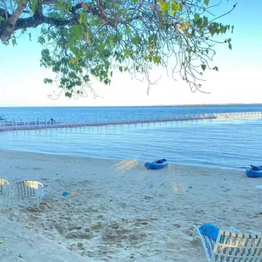 TAMBULI STUDIO UNIT For ONLY Php4.8M Sacrifice Sale!!! — Studio in Maribago, Mactan Island, Lapu-lapu — Photo 3