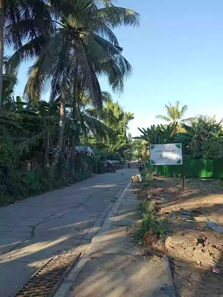 Lot for Sale at Guinsay. Danao City