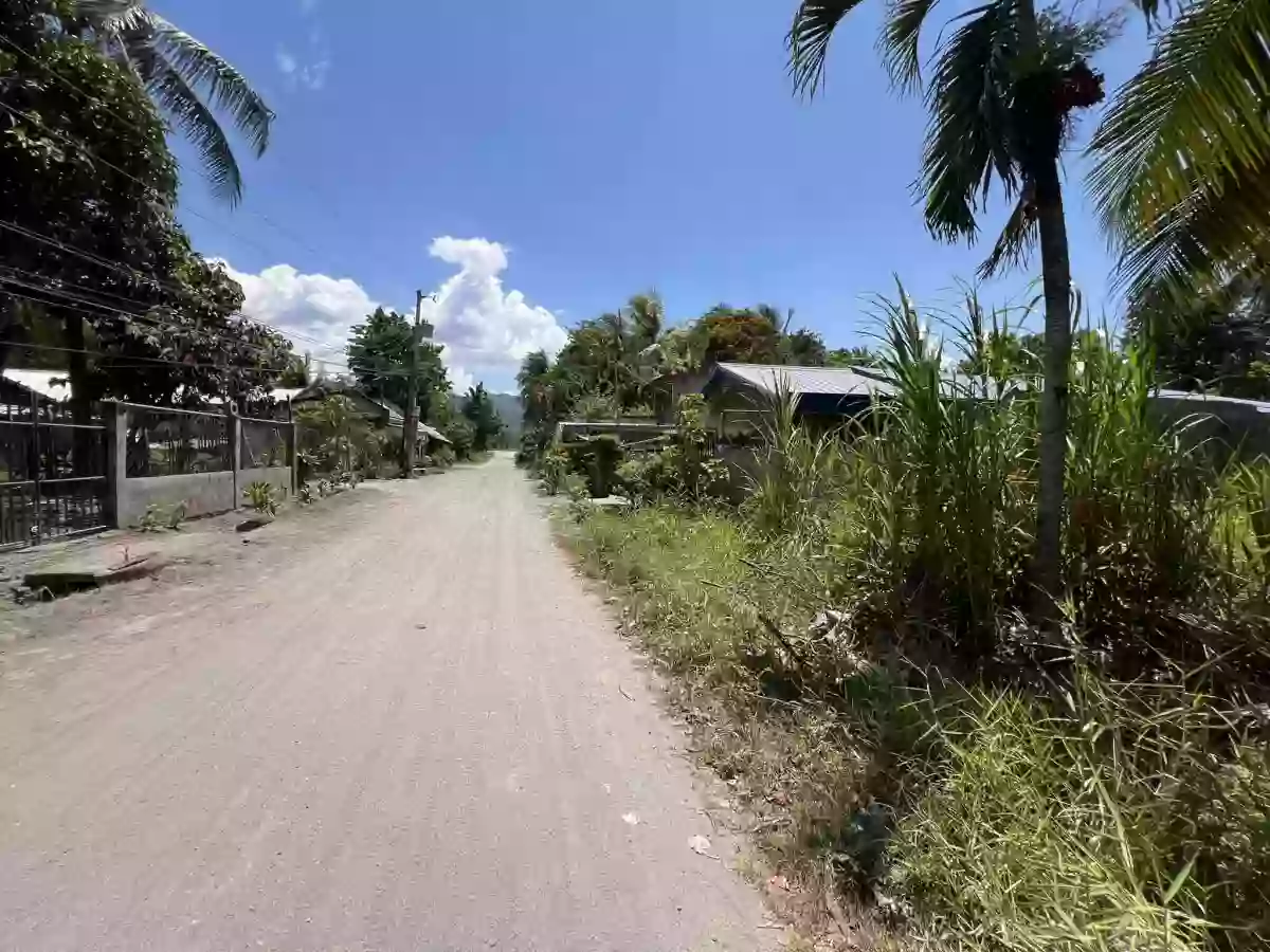 For Sale: 202sqm Residential Lot in Purok Villegas, Koronadal City near soon to rise SM Koronadal — Residential Lot in Carpenter Hill, Koronadal, South Cotabato — Photo 3