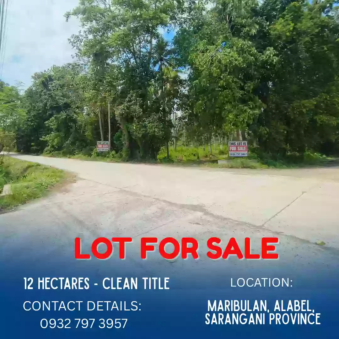 ALABEL LOT FOR SALE (very accessible to road) - Maribulan, Alabel, Sarangani Province — Residential Lot in Alabel, Sarangani, Philippines — Photo 3