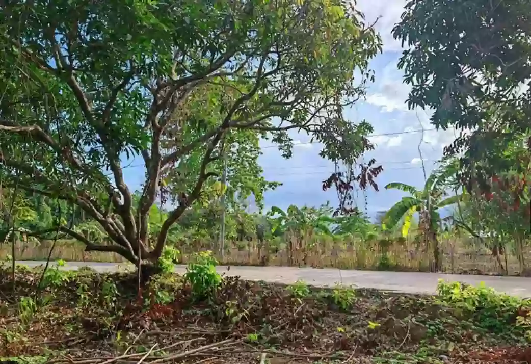 PRIME LOT STA.MONICA PUNTA PRINCESA PALAWAN FOR SALE! — Residential Lot in Puerto Princesa City, Palawan, Philippines — Photo 5