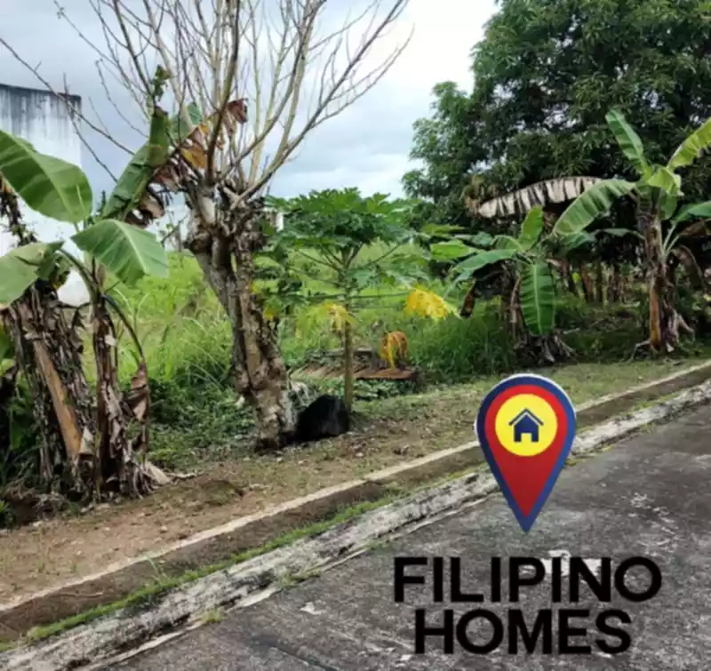 345 SQM LOT FOR SALE — Residential Lot in Naga City, Camarines Sur, Philippines — Photo 2