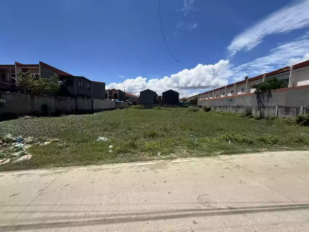 1501 sqm AGRICULTURAL LOT FOR SALE IN COTCOT LILOAN — Agricultural Lot in Liloan, Cebu, Philippines — Photo 5