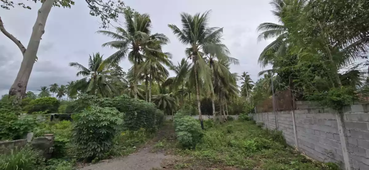 3,000 sqm Lot in Conel near Diversion Road, General Santos City — Residential Lot in general santos city — Photo 3