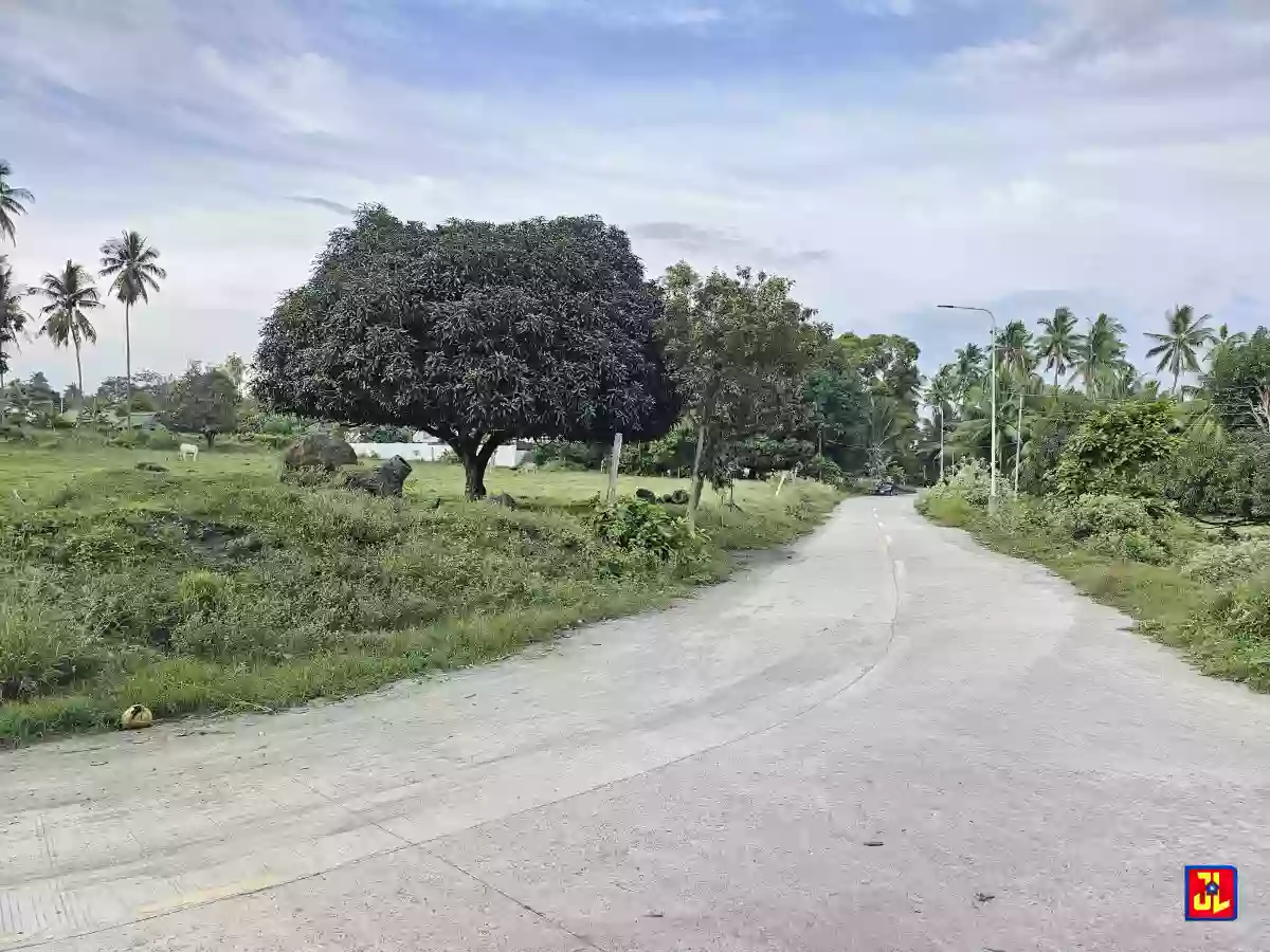 Rush Sale 5,885sqm Corner Lot in Balayag Manok, Bacong [available] — Residential Lot in Bacong, Negros Oriental, Philippines — Photo 3
