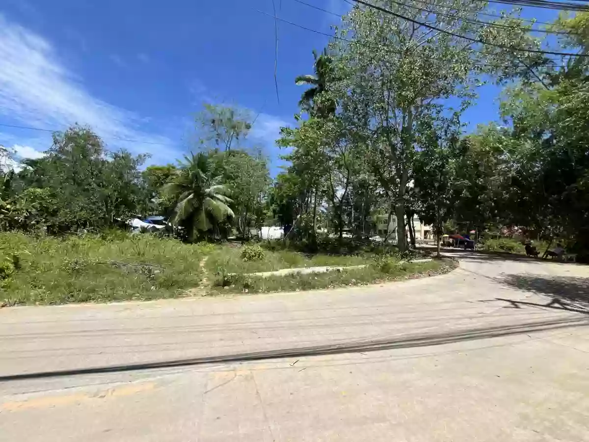 4,434 sqm AGRICULTURAL LOT FOR SALE IN COTCOT, LILOAN [TITLED] — Agricultural Lot in Liloan, Cebu, Philippines — Photo 2