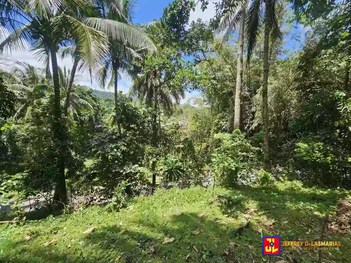 Rush Sale! 506sqm Lot in Mampas, Valencia! [available] — Residential Lot in Valencia, Negros Oriental, Philippines — Photo 4