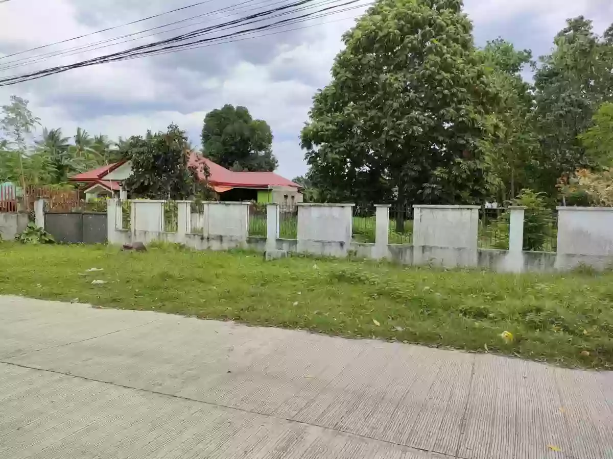 Lot for Sale in Batinguel, Dumaguete City, Negros Oriental — Residential Lot in Dumaguete, Negros Oriental, Philippines — Photo 4