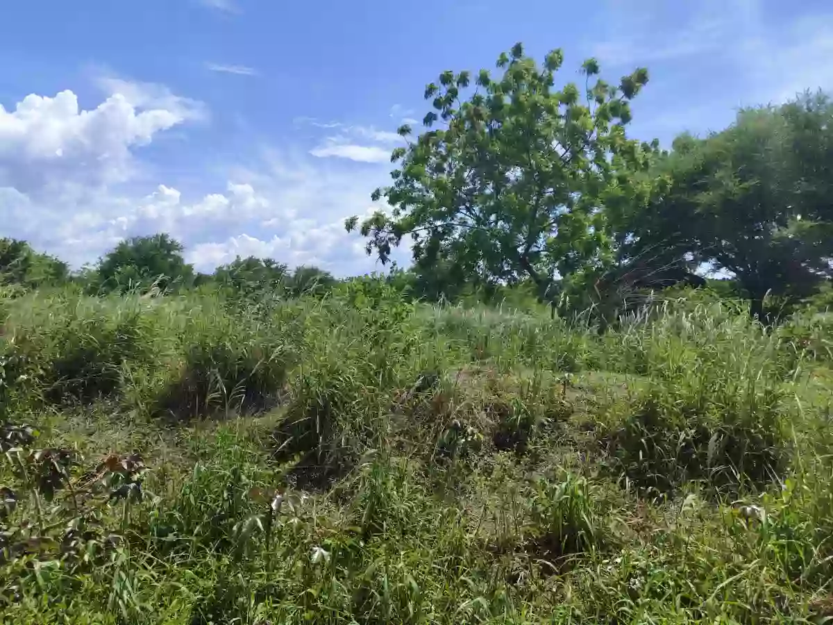 150 Titled Residential Lot in Gensan — Residential Lot in General Santos City, South Cotabato, Philippines — Photo 5