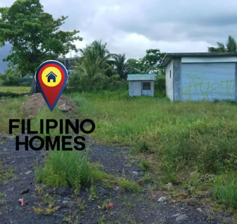 BEACH FRONT WITH MAYON VOLCANO VIEW 1500 SQM — Beach Lot in Albay, Philippines — Photo 3