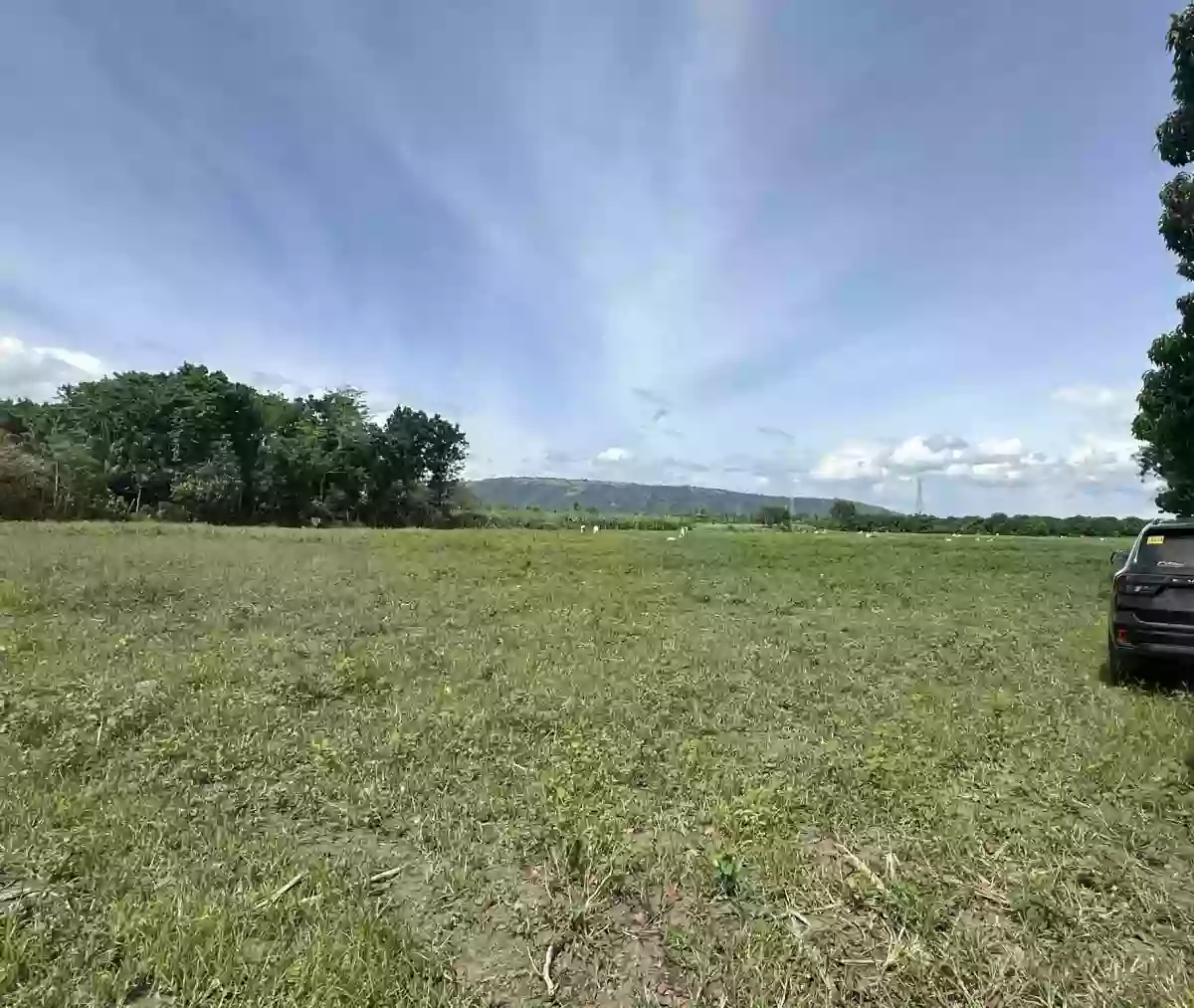 Lot for Sale