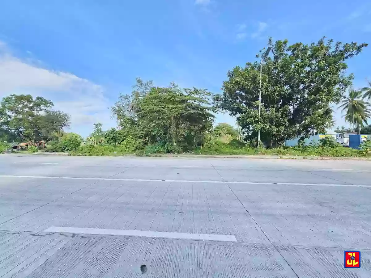 Rush Sale 2,788sqm Lot Along Diversion Road, Isugan, Bacong [available]