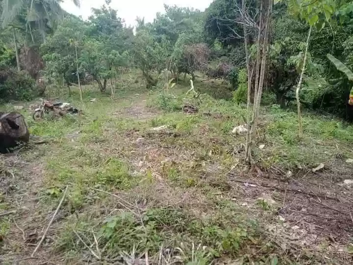 FUTURE SANCTUARY IN PULANGBATO CEBU CITY — Agricultural Lot in Cebu City, Cebu, Philippines — Photo 2