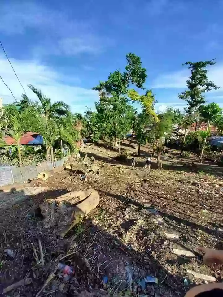 Consolacion Lot Only for Sale — Residential Lot in Consolacion, Cebu, Philippines — Photo 2