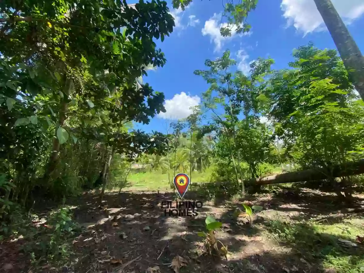 1592021000595 — Residential Lot in Agusan del sur — Photo 3