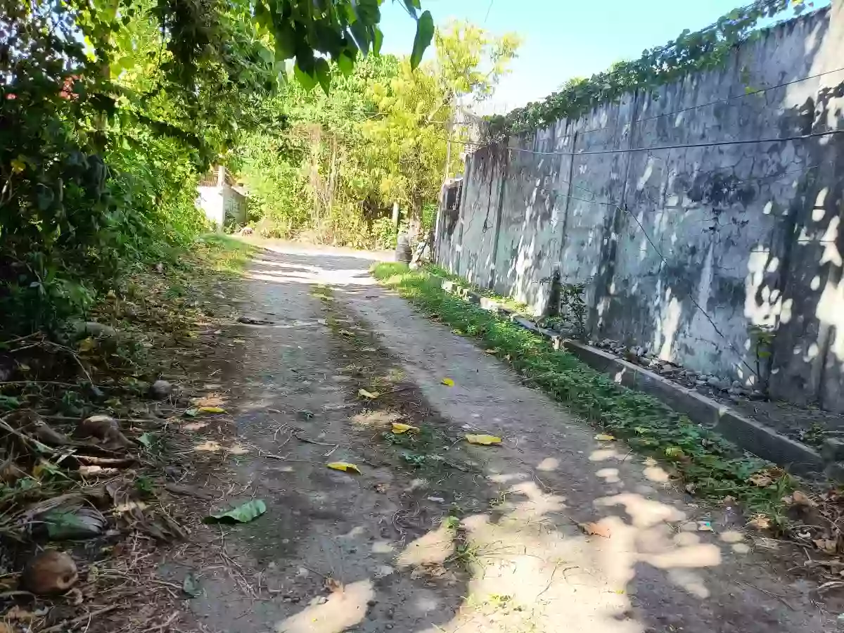 Residential lot For sale — Residential Lot in Leon Llido Street, General Santos City, South Cotabato — Photo 3