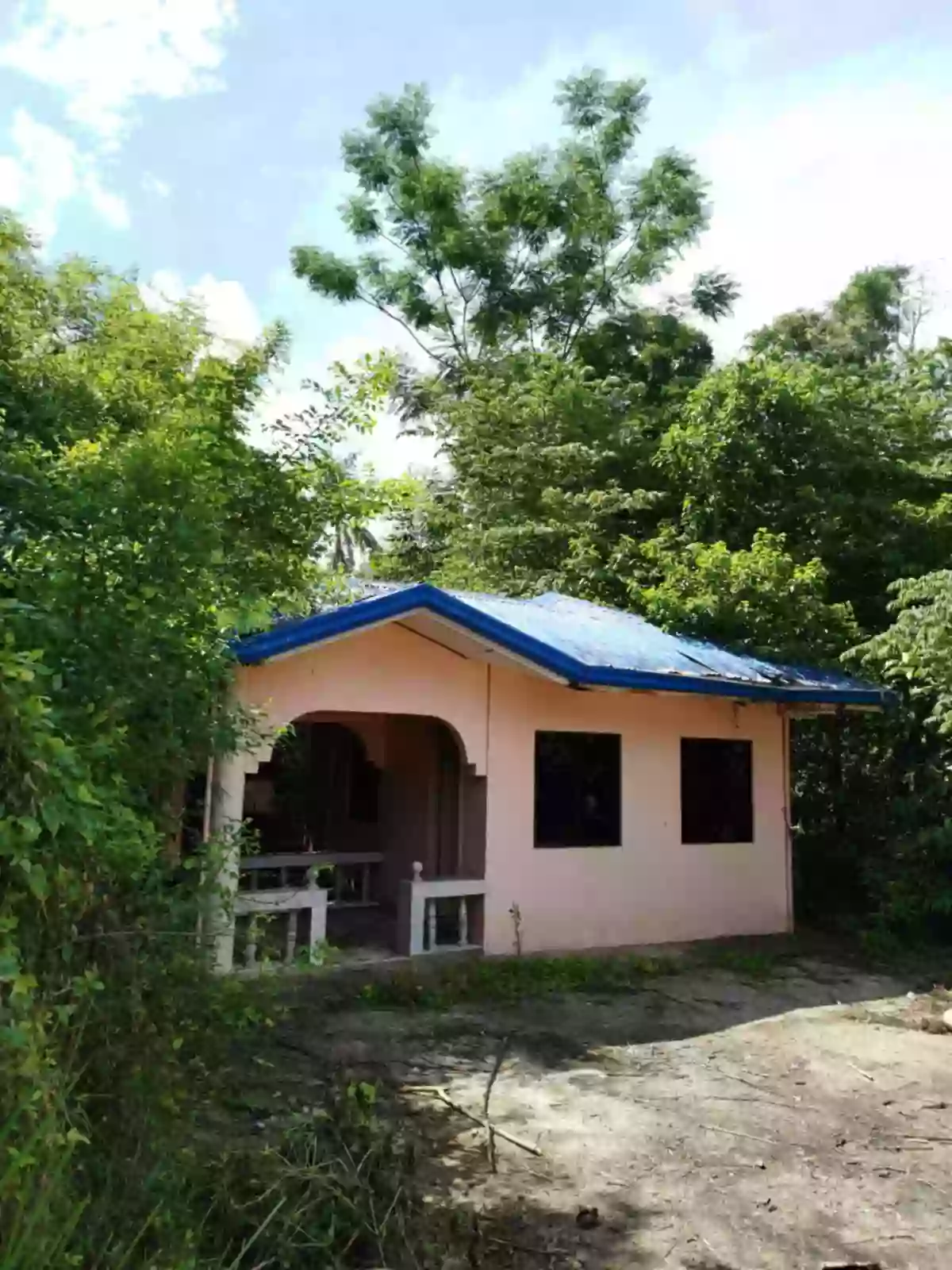 Agricultural lot with 2 house in Dumanjug — Agricultural Lot in Dumanjug, Cebu, Philippines — Photo 5