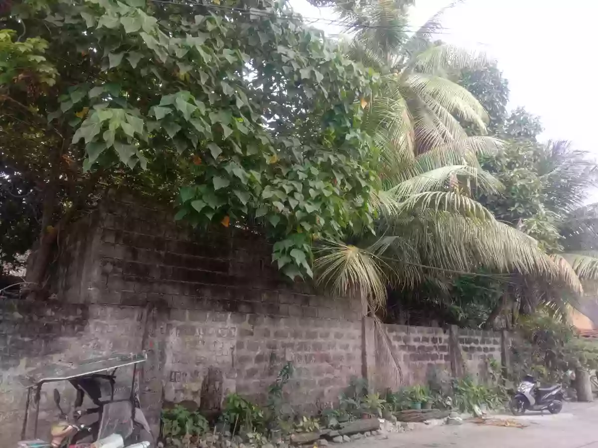 T-109414 — Commercial Lot in Lirio St., Brgy. 33, Bacolod city — Photo 4