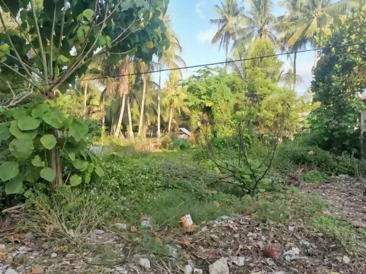 200 sqm lot near UST Ligaya — Residential Lot in General Santos City (Dadiangas), South Cotabato, Philippines — Photo 4